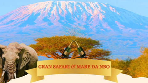 2025 africa gran safari e mare natale e capodanno IN4