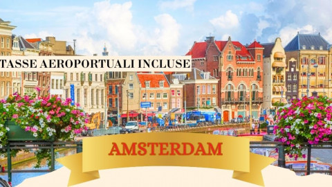 2025 amsterdam immacolata 5 12 IN4