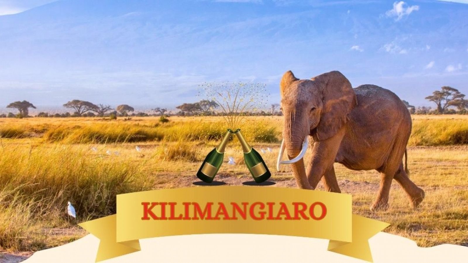 2025 africa kilimangiaro e mare natale e capodanno IN4
