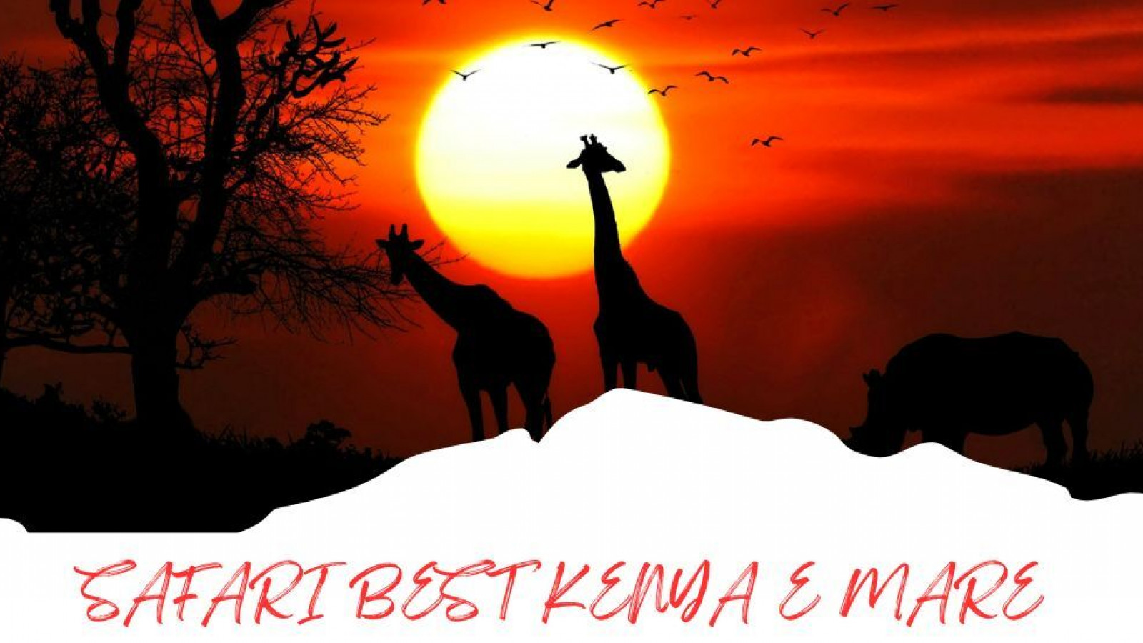 2025 africa best kenia e mare 25 IN4