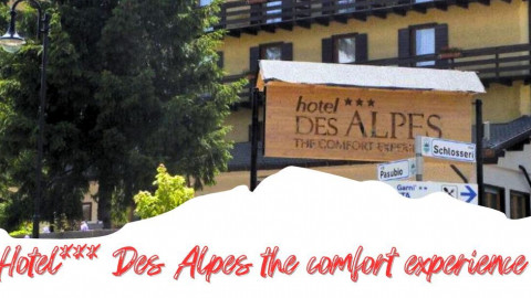 2025 trentino estate des alpes IN4