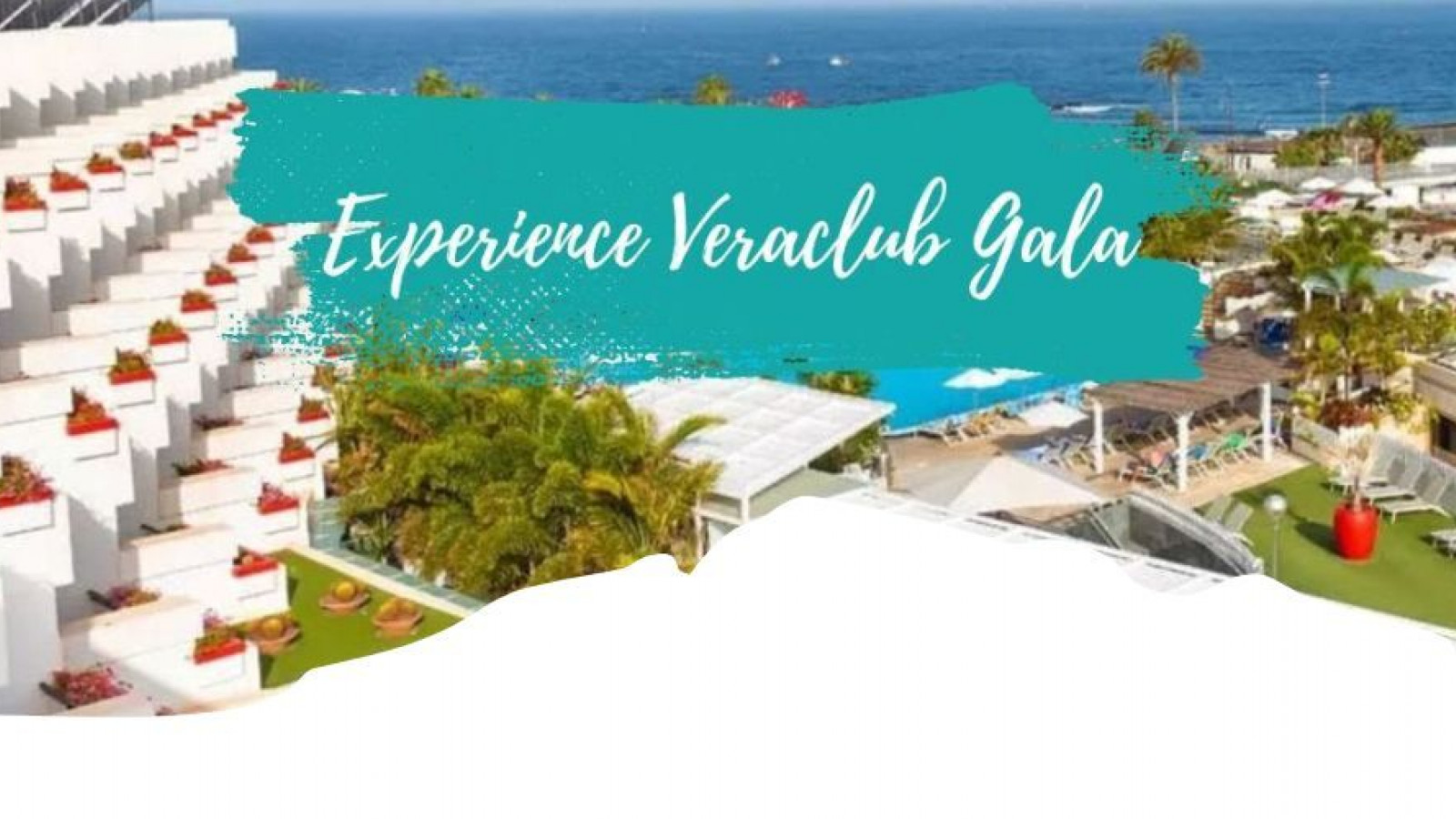 2025 veraclub gala IN4