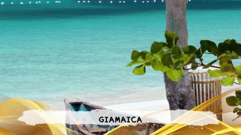 2026 giamaica 14 agosto T IN4