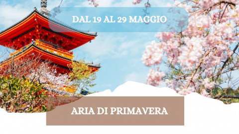 2026 W giappone aria di primavera 19 05 26 IN4