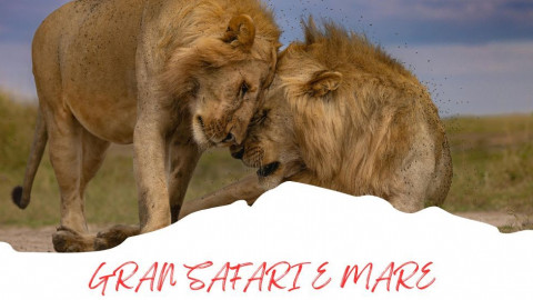 2025 africa gran safari e mare 25 IN4