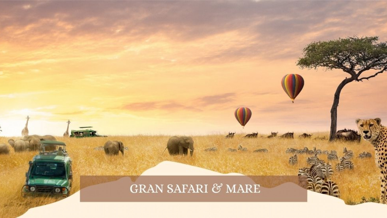 2025 africa gran safari e mare gennaio marzo 26 IN4