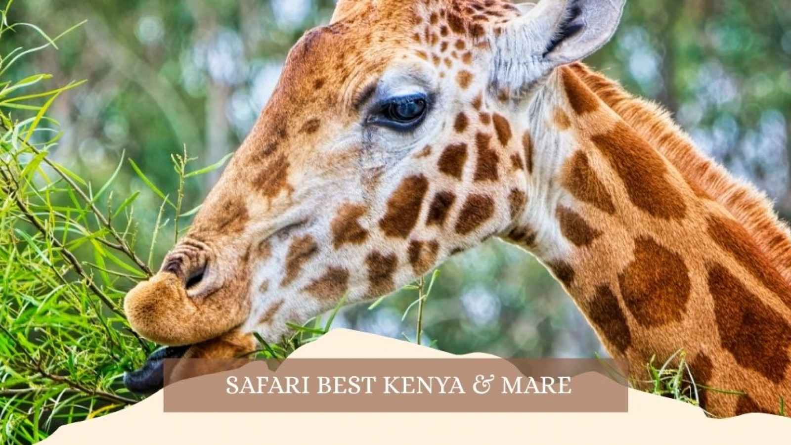 2025 africa best kenia e mare gennaio marzo 26 IN4