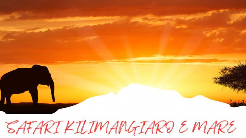2025 africa kilimangiaro e mare 2025 IN4