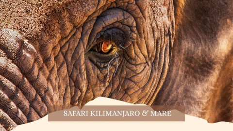 2025 africa kilimangiaro e mare gennaio marzo 2025 IN4