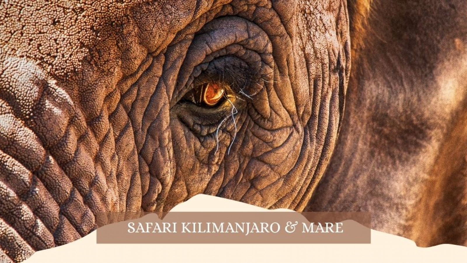 2025 africa kilimangiaro e mare gennaio marzo 2025 IN4