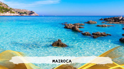 2026 maiorca agosto roma T IN4