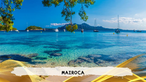 2026 maiorca 11 agosto napoli T IN4