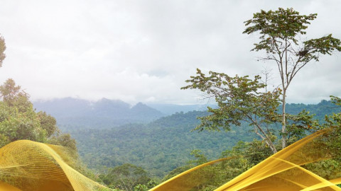 2026 malesia tour mare e altopiani 9 08 O IN4