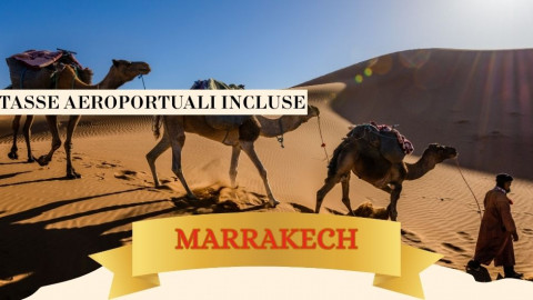 2025 marrakech immacolata 5 12 25 IN4