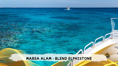 2026 marsa alam da roma blend T IN4