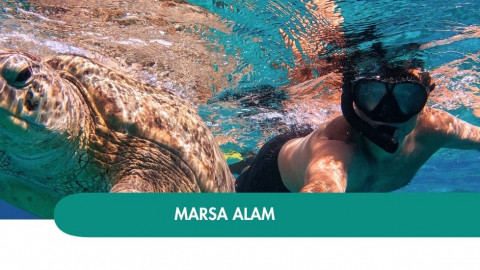 2026 marsa alam halloween T IN4
