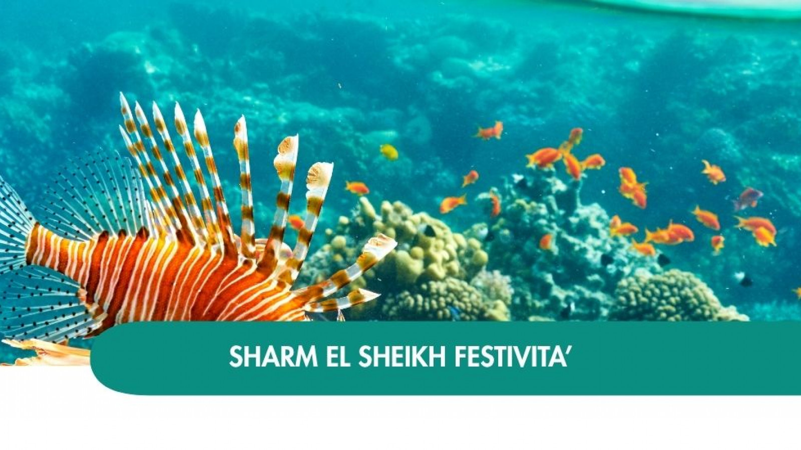 2026 sharm el sheikh queen festivita T IN4