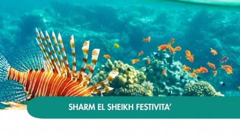 2026 sharm el sheikh queen festivita T IN4