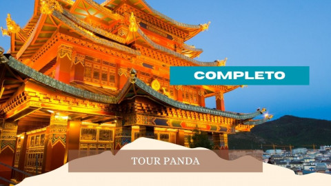 2026 cina tour panda 28 04 IN4