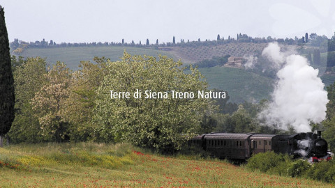 2024 W treno natura siena montepulciano 1/06 IN4