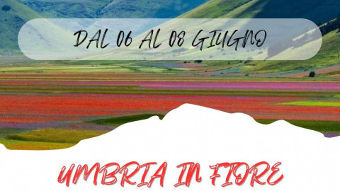 2025 W umbria in fiore 06 06 25 IN4