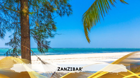 2026 zanzibar 11 08 T IN4