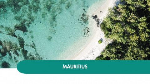 2026 mauritius capodanno T 29 12 IN4
