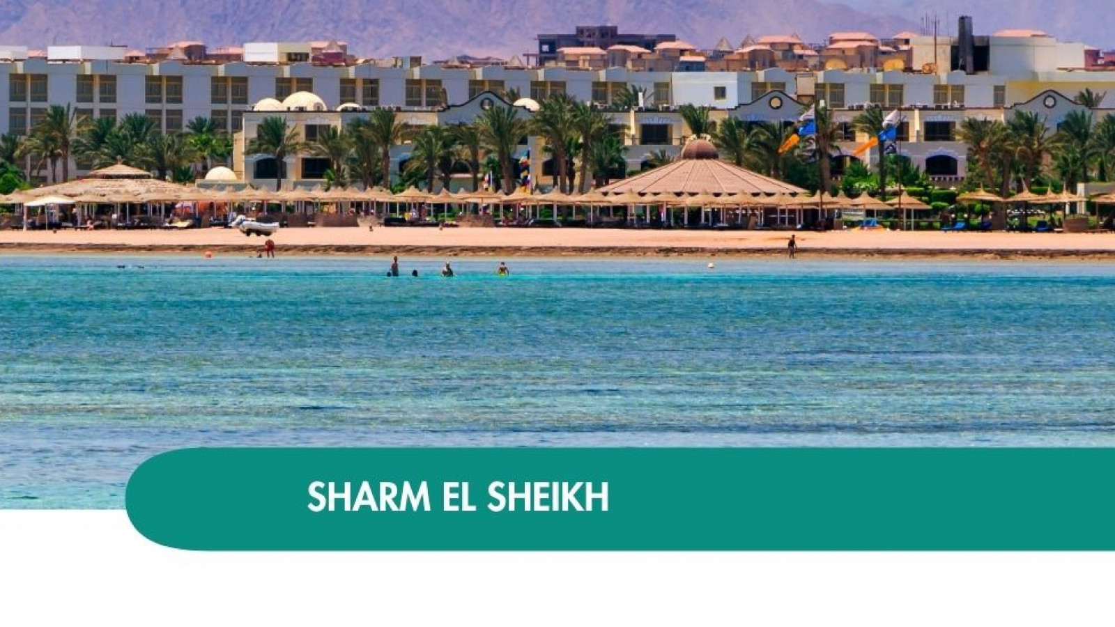 2026 sharm el sheikh queen immacolata T IN4