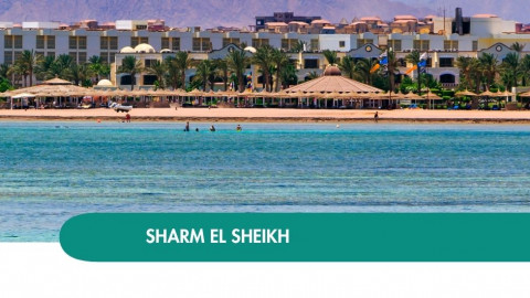 2026 sharm el sheikh queen immacolata T IN4
