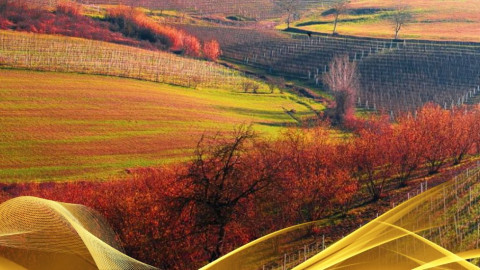 2026 W torino e le langhe 30 05 IN4